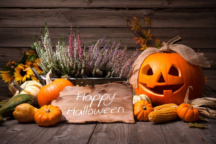 37738124 - halloween still life with pumpkins and halloween holiday text